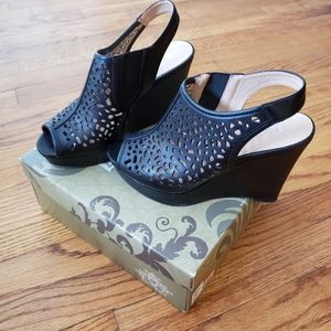 Limelight wedges